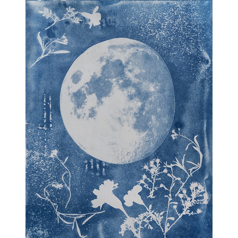 harvestmoon2_11x14