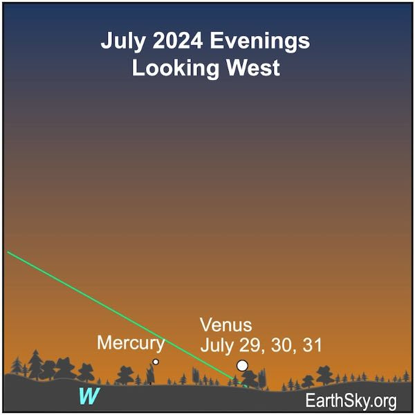 Sunday, July 28, 2024- 12pm