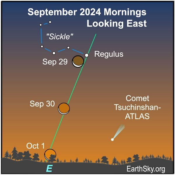 Saturday, September 28, 2024- 1pm
