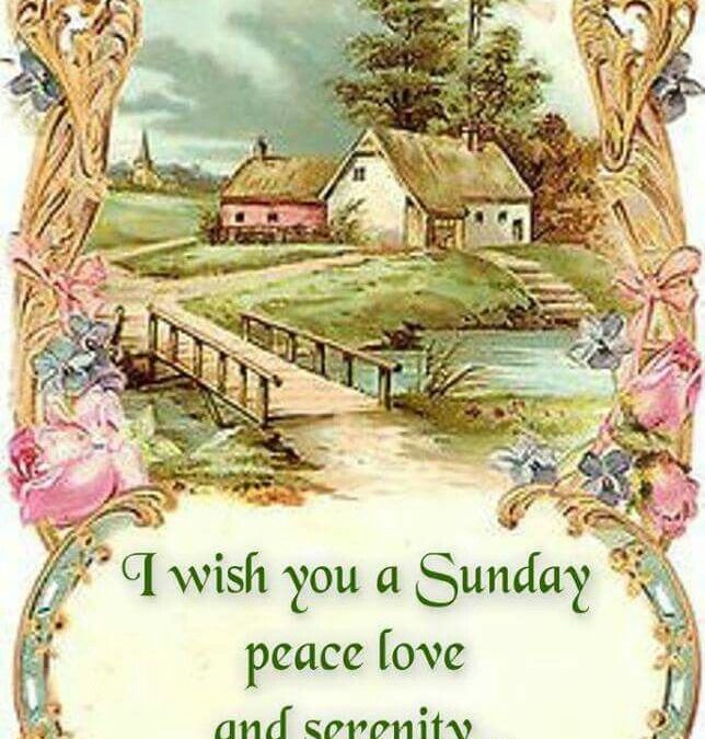 Sunday, September 8, 2024- 8am