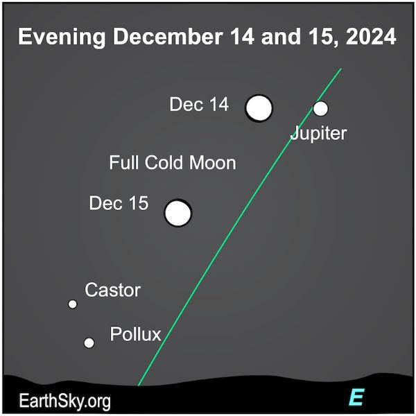 Saturday, December 14, 2024- 11am