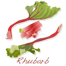 rhubarb stalks & leaves