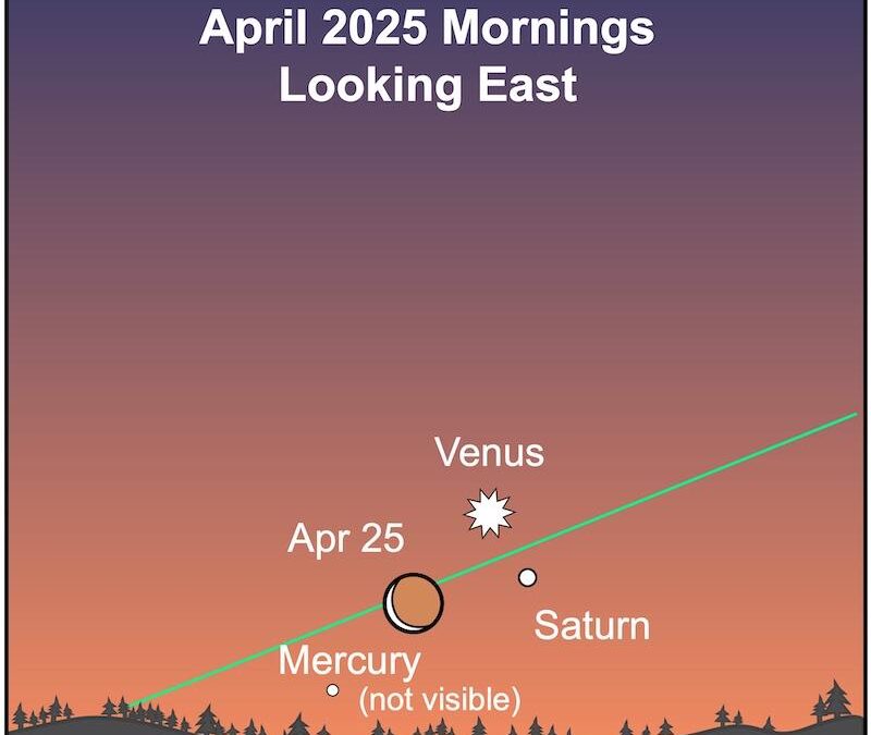 Thursday, April 24, 2025- 9am