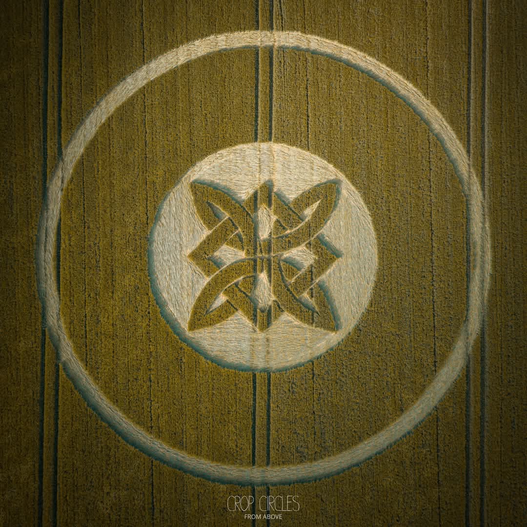 celtic Knot 1st crop circle of 2025