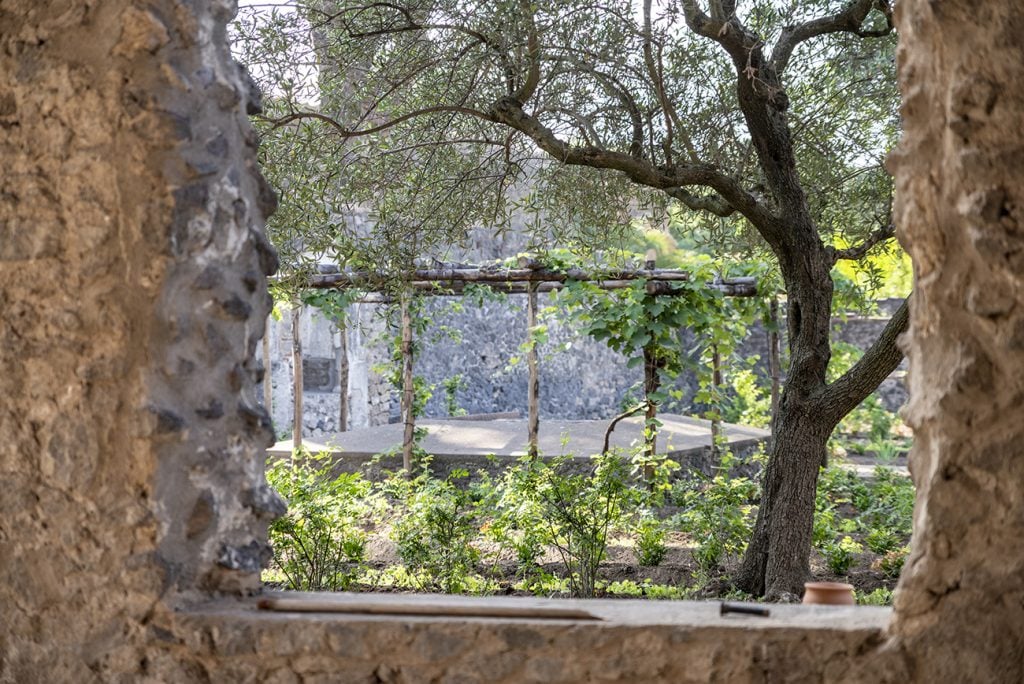 pompeii-hercules-garden-2-1024x684