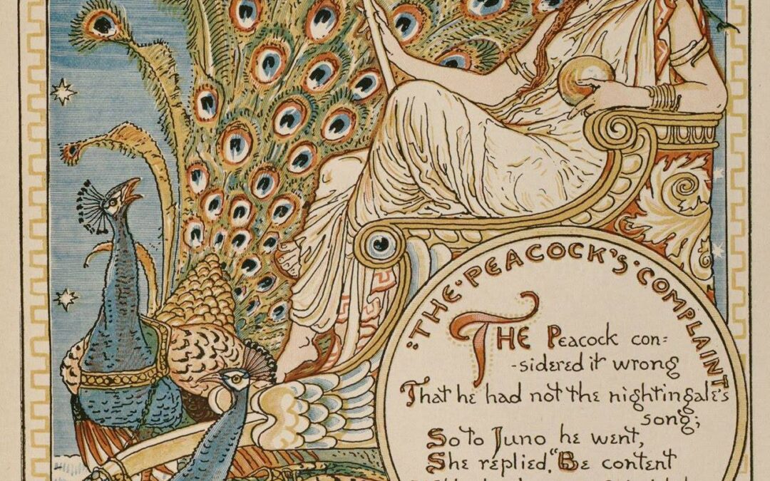 Wednesday, November 26, 2025- 7am