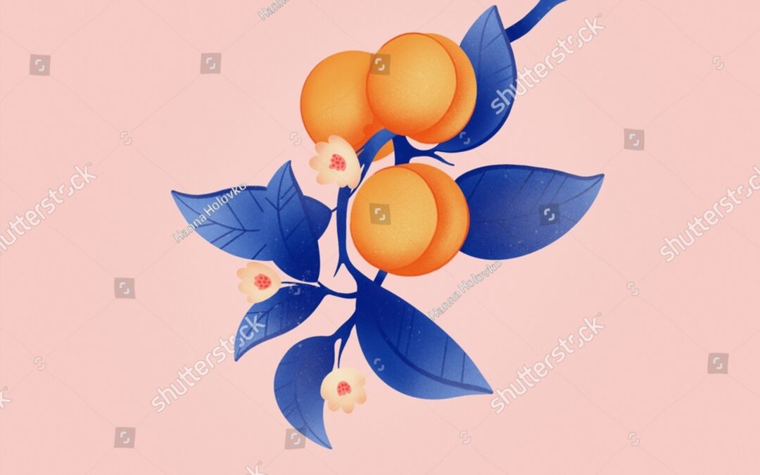 Friday, January 9, 2026- 7am