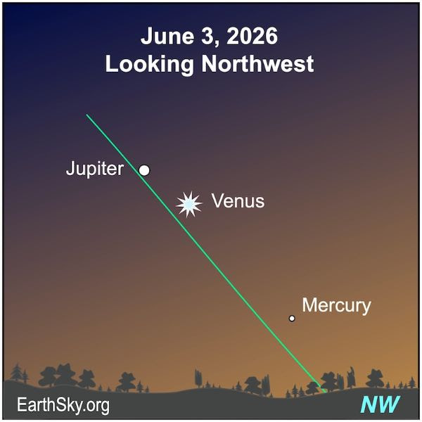 Wednesday, June 3, 2026- 12pm